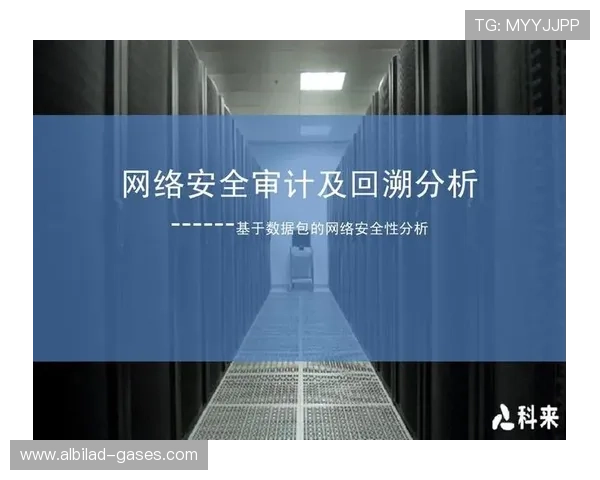 天堂app软件下载平台安全性分析,如何保障用户隐私与数据安全 天堂app软件下载平台安全性分析,如何保障用户隐私与数据安全